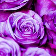 个性化定制的ddos压力在线测试平台